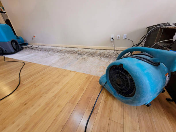 Professional Basement Flood Cleanup technician working in Glendora, CA